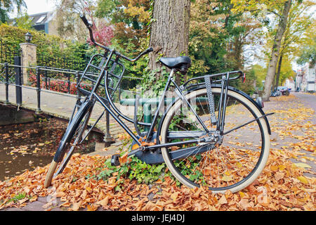 Klassische holländische Fahrrad geparkt gegen einen Baum im Herbst, Gouda, Niederlande Stockfoto