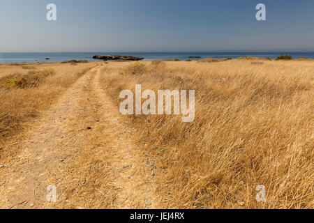 Landschaft im Sommer in der Insel Tabarca, Provinz Alicante, Spanien Stockfoto