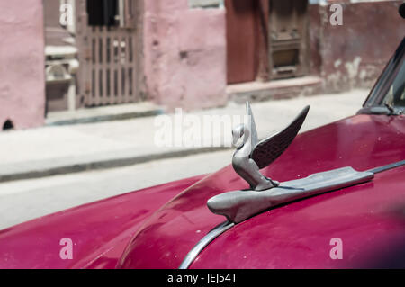 Swan-Emblem auf einem Oldtimer (jetzt verschwundenen) Packard Company, in Havanna Kuba Stockfoto