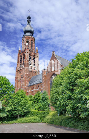 Späte gotische St.-Katharina-Kirche Hoogstraten, dritte höchste Belgien Kirche, eine der höchsten Backstein-Gebäude der Welt. Stockfoto