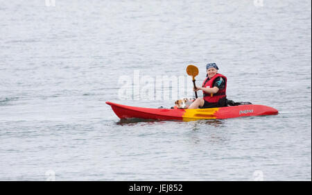 Eine Frau, Kajak fahren im Hafen von Kingsand und Cawsand mit ihrem Hund an Bord beider tragen Schwimmwesten mit die Frau lächelnd als She Paddel, Cornwall, England Stockfoto