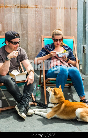 London, UK. 25. Juni 2017. Greenwich &amp; Docklands International Festival. Menschen Straße Essen, Hund schaut seinen Besitzer in der Hoffnung auf Nahrung zu Credit: Elena Chaykina/Alamy Live News Stockfoto