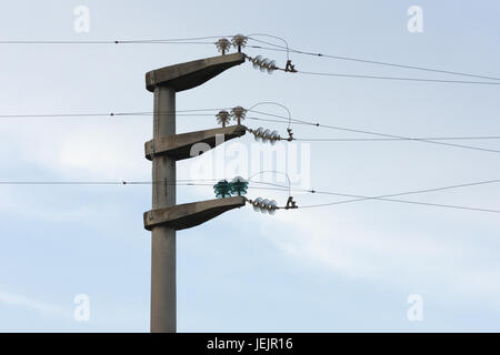 Elektrokabel-auf pole Stockfoto