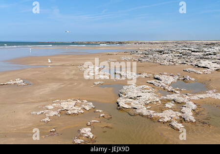 Pink Bay, Porthcawl, Süd-Wales, UK. Stockfoto