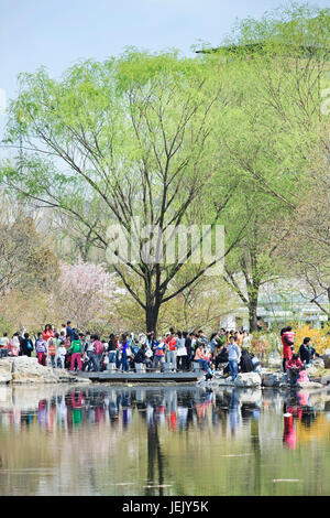 PEKING - 30. MÄRZ 2014. Besucher genießen den Yuyuantan Park im Frühjahr. Die Geschichte Yuyuantans geht auf die Jin-Dynastie (1115-1234) zurück. Stockfoto