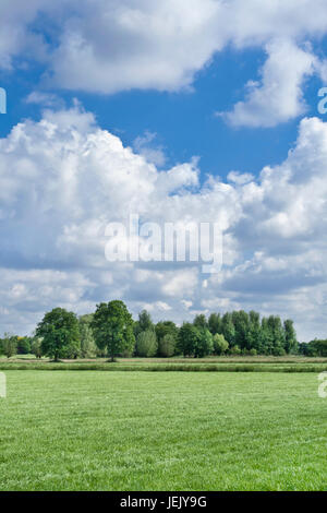 Üppige grüne Landschaft mit dramatischen Form Wolken, Niederlande Stockfoto