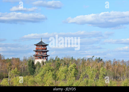 Idyllische chinesische Pagode, umgeben von grünen Bäumen. Stockfoto