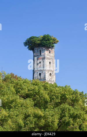 Ruine des alten Turms umgeben von grünen Bäumen, Jiangxin Insel, Wenzhou, Zhejiang Province, China Stockfoto