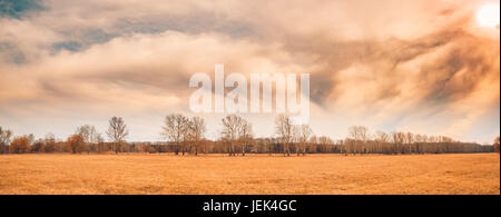 Herbst Landschaft und dramatischen Himmel. Bäume und Wiese Feld unter bewölktem Himmel Stockfoto