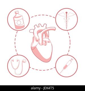 weißen Hintergrund mit roten Farbe Abschnitte Silhouette Herz Orgel mit kreisförmigen Rahmen Elemente Gesundheit Stock Vektor