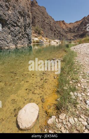 Spärliche Vegetation entlang des Wassers im Wadi Al-Arbaeen im Oman Stockfoto