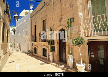 Ostuni, Apulien, Süditalien/Apulien, Italien Stockfoto