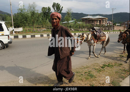 Mann zu Fuß mit Pferd auf Straße, Srinagar, Jammu Kaschmir, Indien, Asien Stockfoto