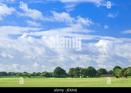 Niederländische Landschaft mit grünen Bäumen und einem blauen Himmel mit dramatischen geformten weißen Wolken. Stockfoto