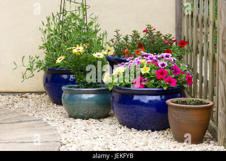 Töpfe mit Blumen in einem kleinen Garten Stockfoto