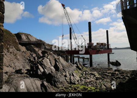 Ramsey Island, St Davids, Pembrokeshire Stockfoto