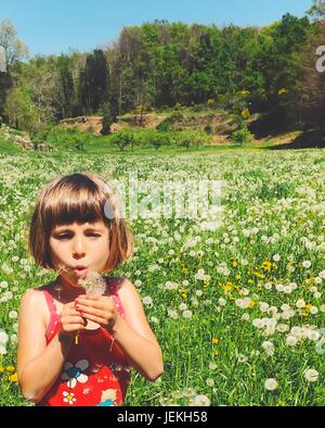 Mädchen bläst eine Löwenzahn Uhr Stockfoto