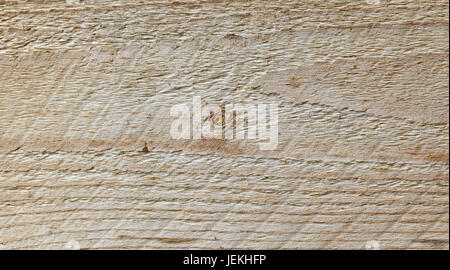 Natürliches Holz Hintergrund, Holz Scheibe und organische Textur Stockfoto