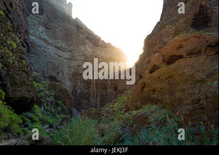 Sonnenuntergang auf den Felsen von Teneriffa Stockfoto