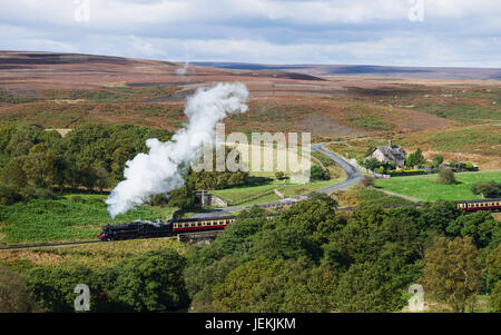 Ein Jahrgang Dampfzug im Herzen von Yorkshire Moors an einem sonnigen Tag im Sommer umgeben von blühenden Heide in der Nähe von Goathland, Yorkshire, Großbritannien. Stockfoto