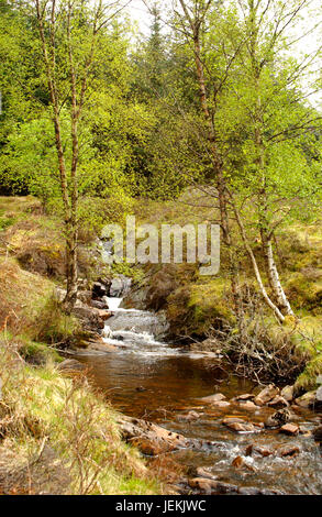 Bergbach oder schottischen Burn in Glen Lyon Stockfoto