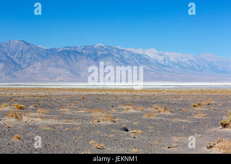 Death Valley National Park: Paramint Federn und die Saline Valley Stockfoto