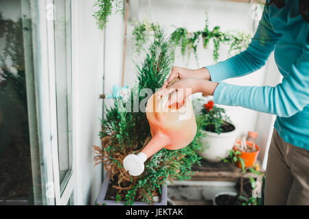 Frau Wtering Werk in Container am Balkon Garten Stockfoto