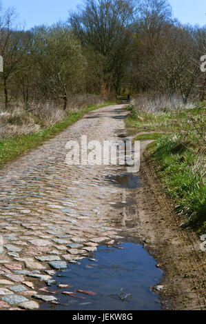 Gasse Bäume Höhenweg Wanderweg alte Reise uncharted Stockfoto