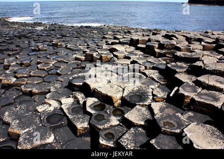 Der Giant es Causeway Verlängerung bis zum Meer in Nordirland Stockfoto