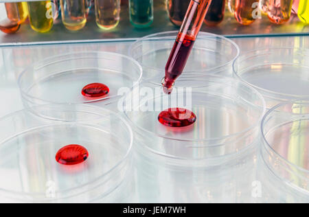 Pipette mit Tropfen Flüssigkeit und Petrischalen Stockfoto