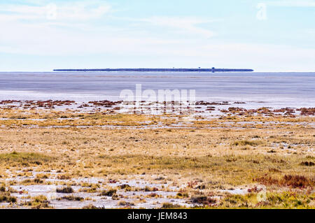 Eine Fata Morgana in der Etosha-Pfanne, Namibia. Luftspiegelungen, die sichtbar im Park sind sind eine Wasser-wie Reflexion aufgrund des extrem trockenen Umgebung. Stockfoto