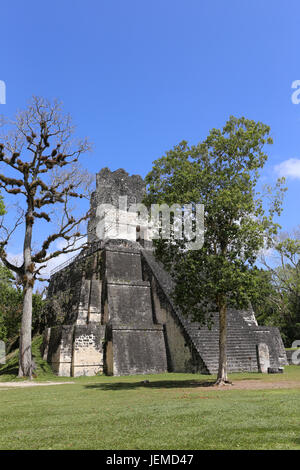 Tikal Nationalpark in der Nähe von Flores in Guatemala, Jaguar Tempel ist der berühmte Pyramide in Tikal Stockfoto