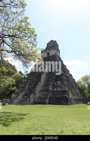 Tikal Nationalpark in der Nähe von Flores in Guatemala, Jaguar Tempel ist der berühmte Pyramide in Tikal Stockfoto