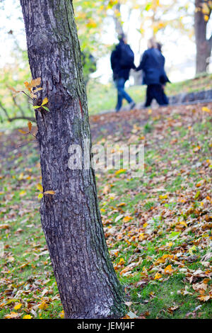 Baum im Park, gehen Menschen auf Hintergrund Stockfoto