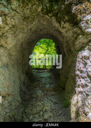 Gehen Sie Weg mit einem Rock-Tunnel zur Teufelsbrücke in der Nähe von Inzighofen, Naturpark obere Donau, Sigmaringen District, Baden-Württemberg, Deutschland, Europa Stockfoto