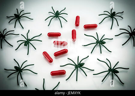 Spinnen in Kapseln auf weißem Hintergrund, Konzept-Phobie zu Arzneimitteln Stockfoto