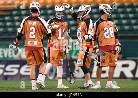 Überstunden. 24. Juni 2017. Rochester Rattlers Verteidiger Joel White #11 feiert sein Tor mit Teamkollegen gegen die Atlanta Blaze ein Major League Lacrosse-Spiel auf Samstag, 24. Juni 2017 bei Capelli Sportstadion in Rochester, NY. Die Blaze gewann 14-13 in der Overtime. Rich Barnes/CSM/Alamy Live-Nachrichten Stockfoto