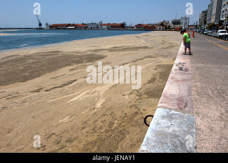 Thessaloniki, Griechenland. 27. Juni 2017. Kinder haben einen Blick auf das rote Flut Phänomen betroffen Küste der nördlichen Hafen der griechischen Stadt Thessaloniki. Red Tide ist eine gebräuchliche Bezeichnung für ein Phänomen bekannt als eine Algenblüte, verursacht durch Arten der Dinoflagellaten, die auf eine rote oder braune Farbe. Kredit Kredit: Orhan Zolak/Alamy Live-Nachrichten Stockfoto