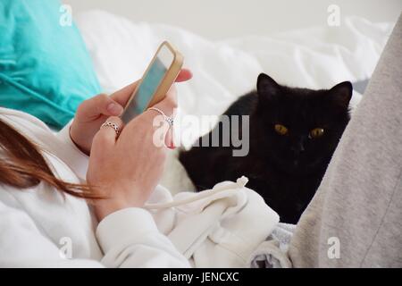 Mädchen im Bett sitzen mit ihrer Katze können Sie über Ihr Mobiltelefon Stockfoto