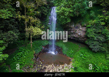 Crystal Dusche fällt, Dorrigo, New South Wales, Australien Stockfoto