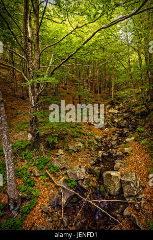 Italien Ligurien Aveto Regional Park - stream Stockfoto