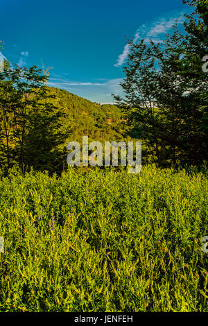 Italien Ligurien Aveto Regional Park Landschaft Stockfoto