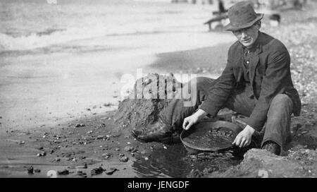 Mann schwenken Gold am Strand, Nome, Alaska, 1910 Stockfoto