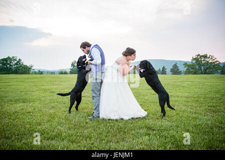 Rustikale Landschaft Hochzeitsfeier auf der Wolfsgrube Farm, Gordonsville, Virginia, USA. Stockfoto