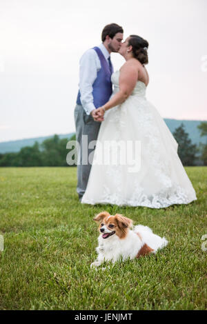 Rustikale Landschaft Hochzeitsfeier auf der Wolfsgrube Farm, Gordonsville, Virginia, USA. Stockfoto