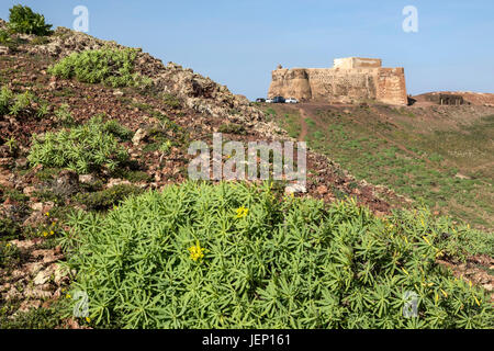 Die Burg Santa Bárbara byTeguise Stockfoto