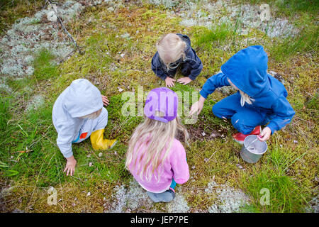 Kinder, die auf der Suche nach Beeren Stockfoto