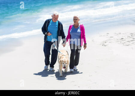 Niedlich älteres paar Spaziergang mit ihrem Hund Stockfoto