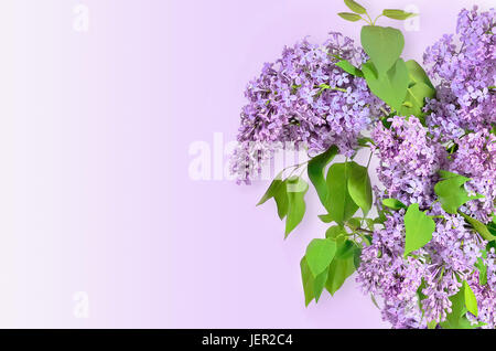 Lila Blumen Blumenstrauß Stockfoto