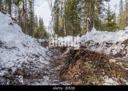 Verfolgen von vorbeifahrenden LKW im Winterwald Stockfoto